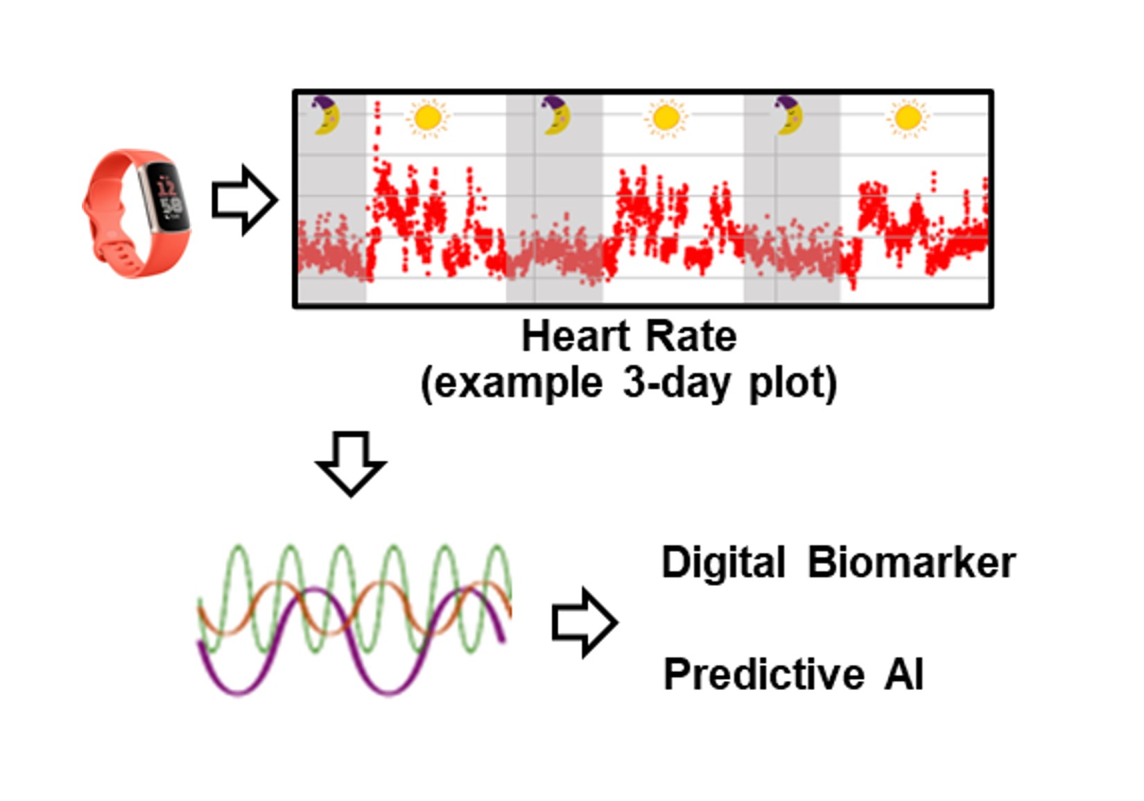 Novel Wearable-derived Biomarkers and Predictive AI